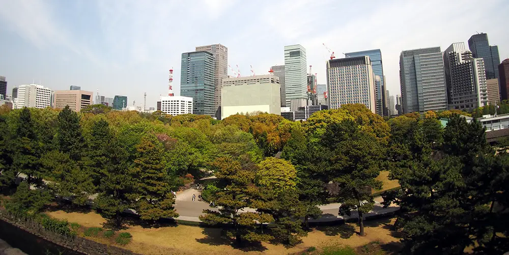 Tokyo imperial palacen ympärillä on paljon luontoa.