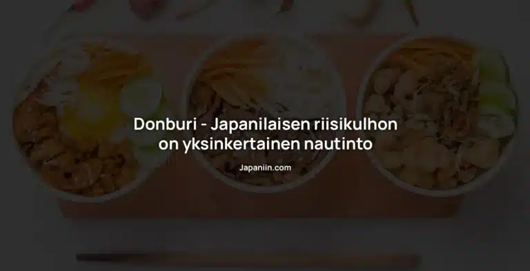 Donburi – Japanilaisen riisiannos, yksinkertainen nautinto