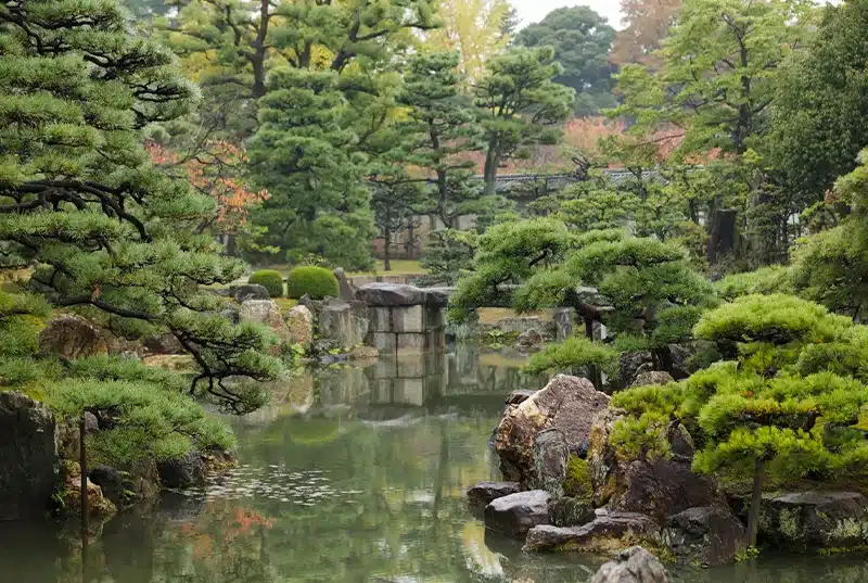 Japanilainen puutarha Chaniwa keskittyy teeseremonian ympärille.