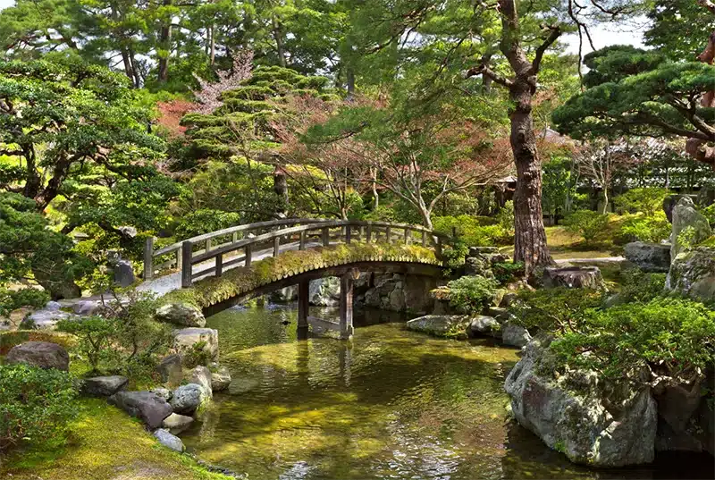 Kioton keisarillisen palatsin ympärillä on paljon puutarhoja ja puistoja. 