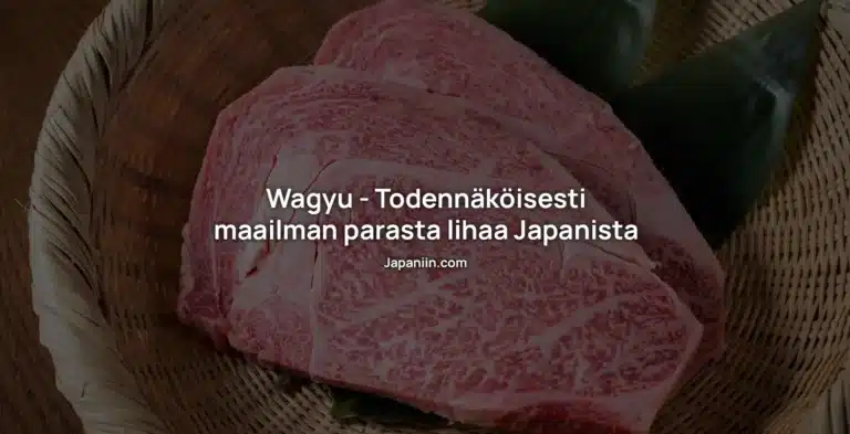 Wagyu – Todennäköisesti maailman parasta lihaa Japanista