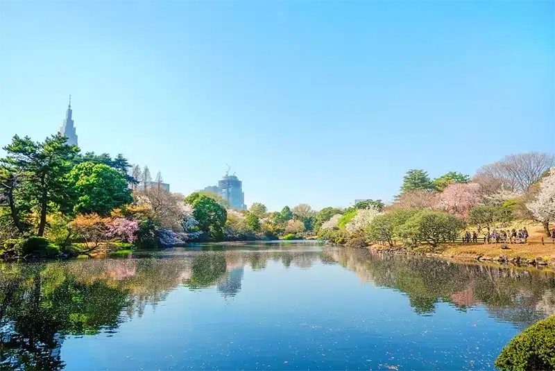 Gyoenin kansallispuutarha on yksi Japanin tunnetuimmista puutarhoista.