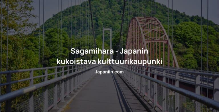 Sagamihara on suuri kaupunki lähellä Tokion metropolia.