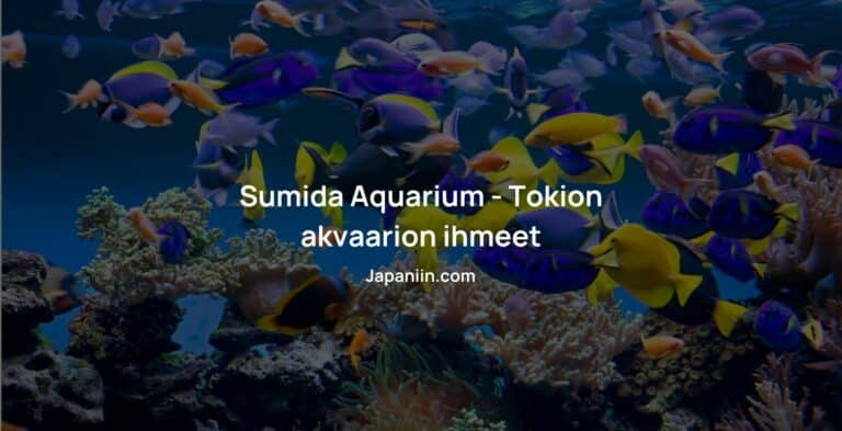 Sumida Aquarium – Tokion akvaarion ihmeet