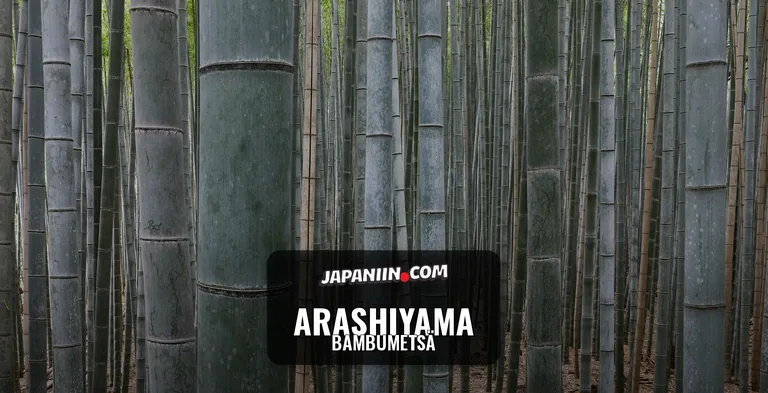 Arashiyama — Bambumetsä