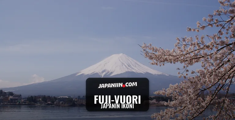Lumihuippuinen Fuji-vuori ja kukkivat kirsikkapuut Kawaguchiko-järven rannalla