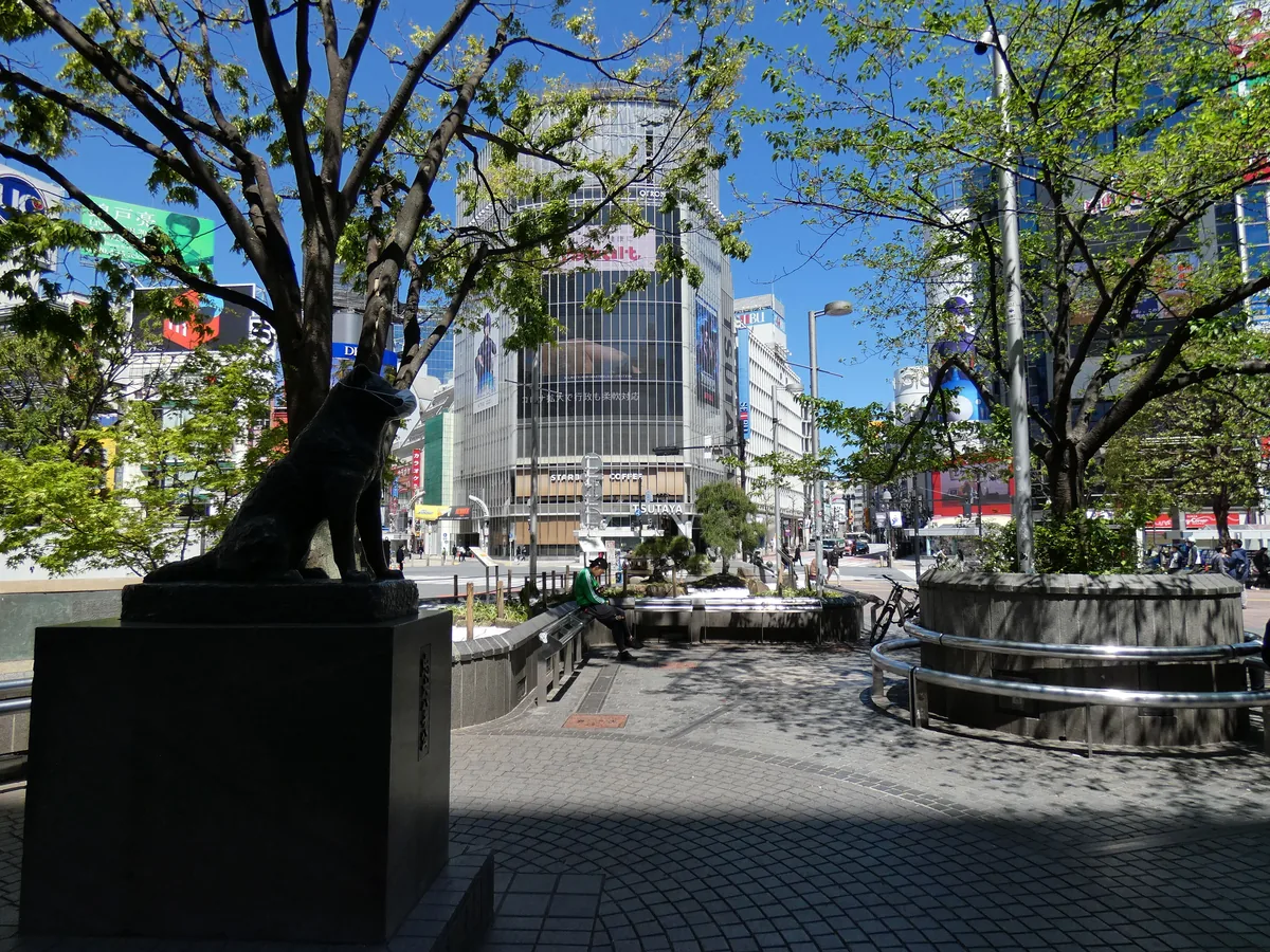 Hachikōn pronssipatsas Shibuyan aseman Hachikō-aukiolla Tokiossa