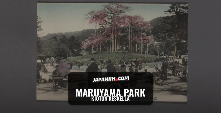 Maruyama Park — Kioton Keskellä