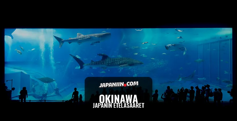Okinawa — Japanin eteläsaaret