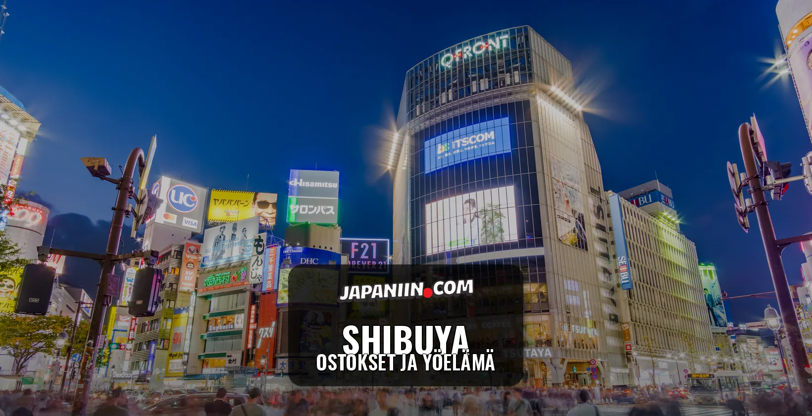 Shibuya — Ostokset Ja Yöelämä