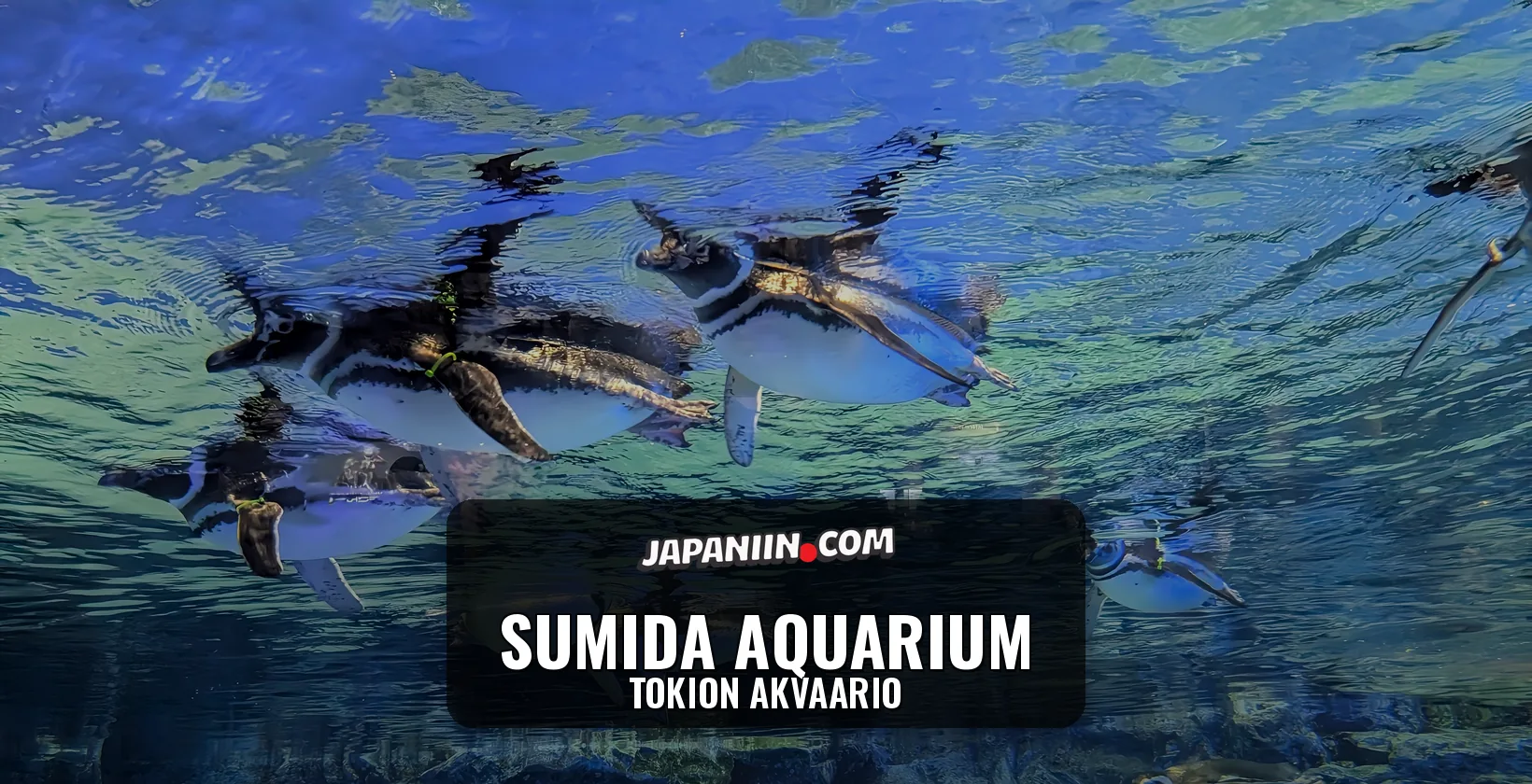 Sumida Aquarium — Tokion akvaario