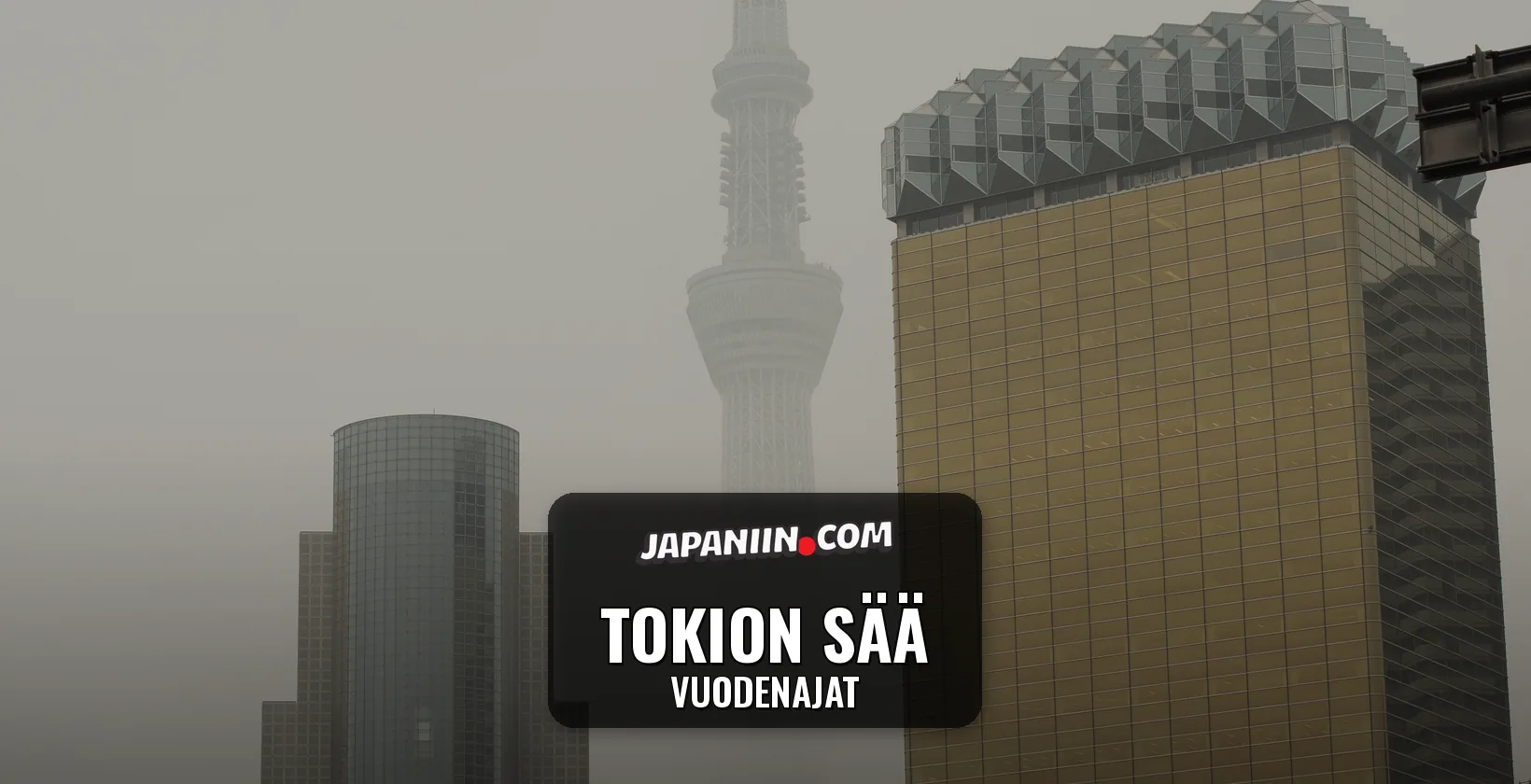 Tokion Sää — Vuodenajat
