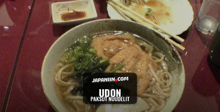 Udon — Paksut Nuudelit