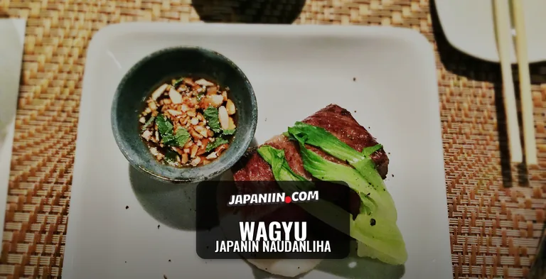 Wagyu — Japanin naudanliha